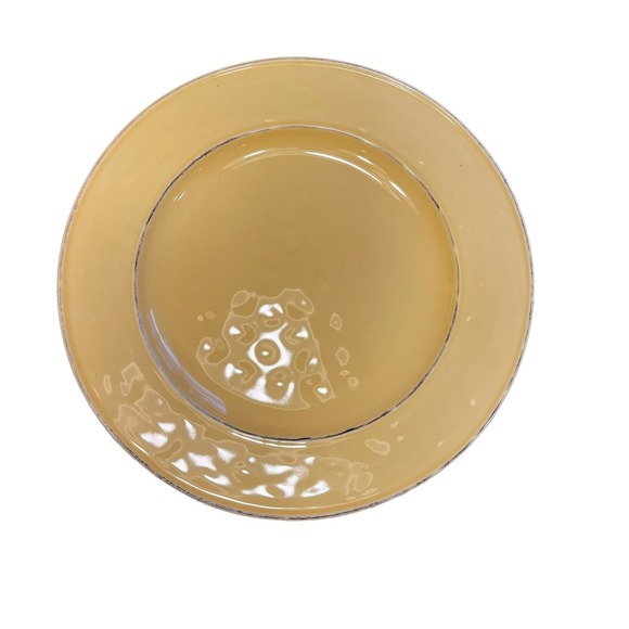 Pier One 1 Martillo Mango Stoneware Plates‎ Set Of 4 Dimpled Ceramic Size 10.5" - Picture 5 of 6